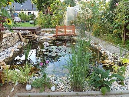 Teich neben der Terrasse